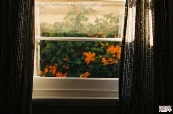 jagnexsmax在日本：曝光其与神秘富豪的不为人知关系及背后真相