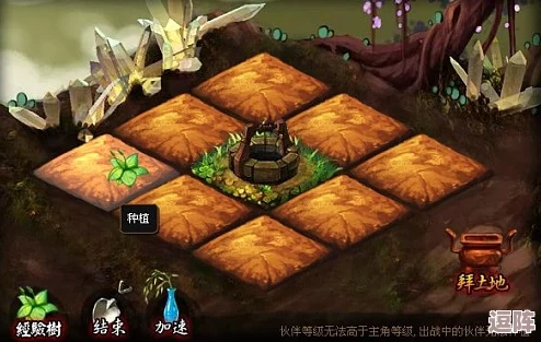 神仙道游戏进阶：揭秘多少级可解锁土地自动种植功能